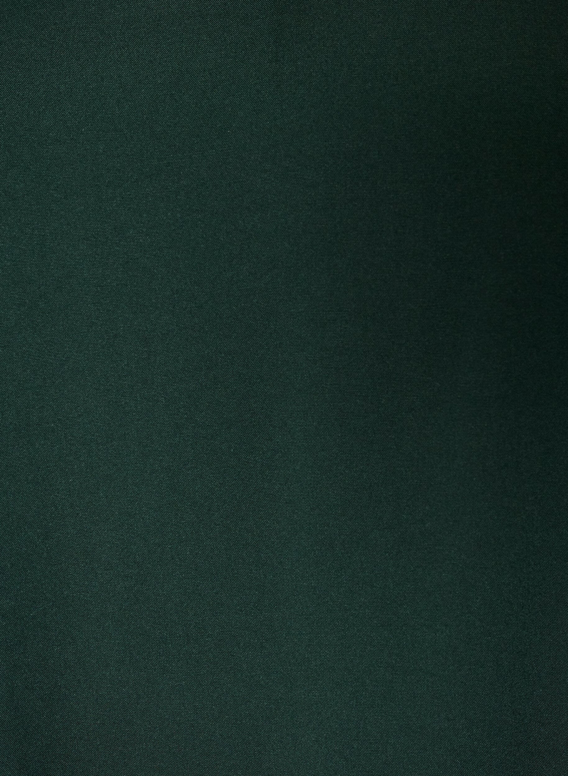 ZizziBlouse en viscose avec col en V et ourlet arrondi, Vert fonc&eacute;, Packshot image number 2