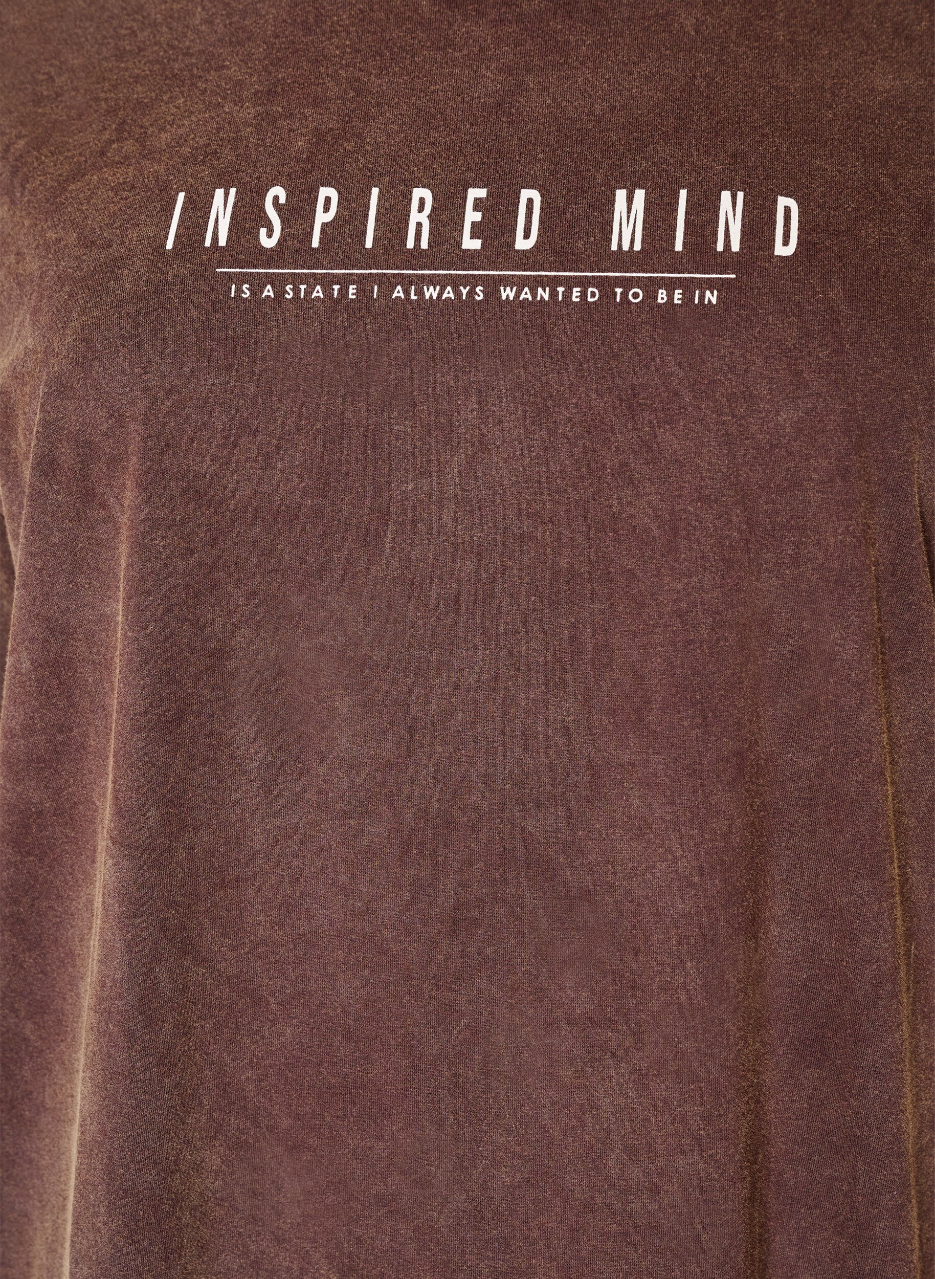 ZizziRobe T-shirt ample avec effet d&eacute;lav&eacute;, Marron, Packshot image number 2