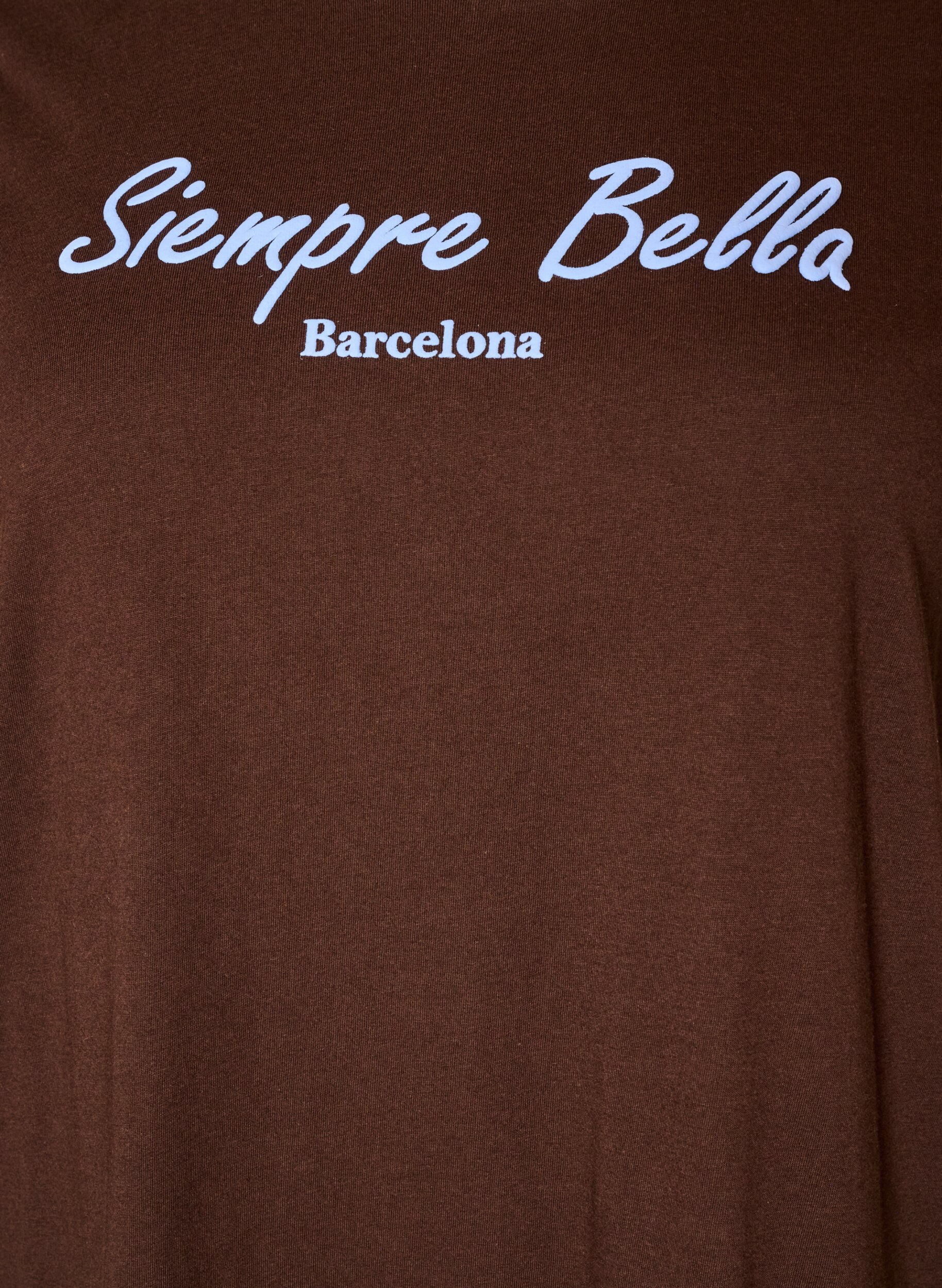 ZizziT-shirt en coton bio avec imprim&eacute;, Marron, Packshot image number 2
