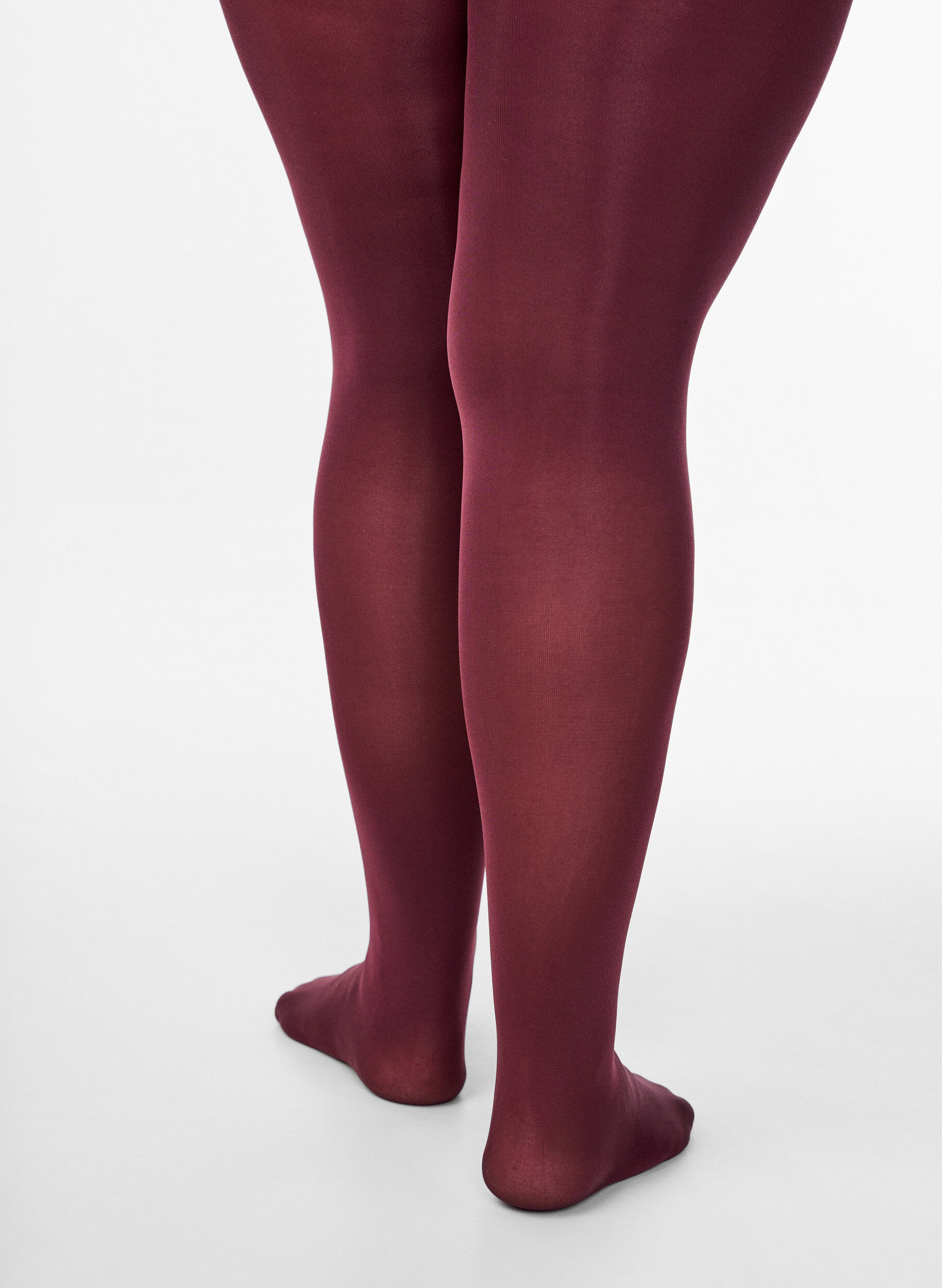 Zizzi Collants, Bordeaux, Model image number 2