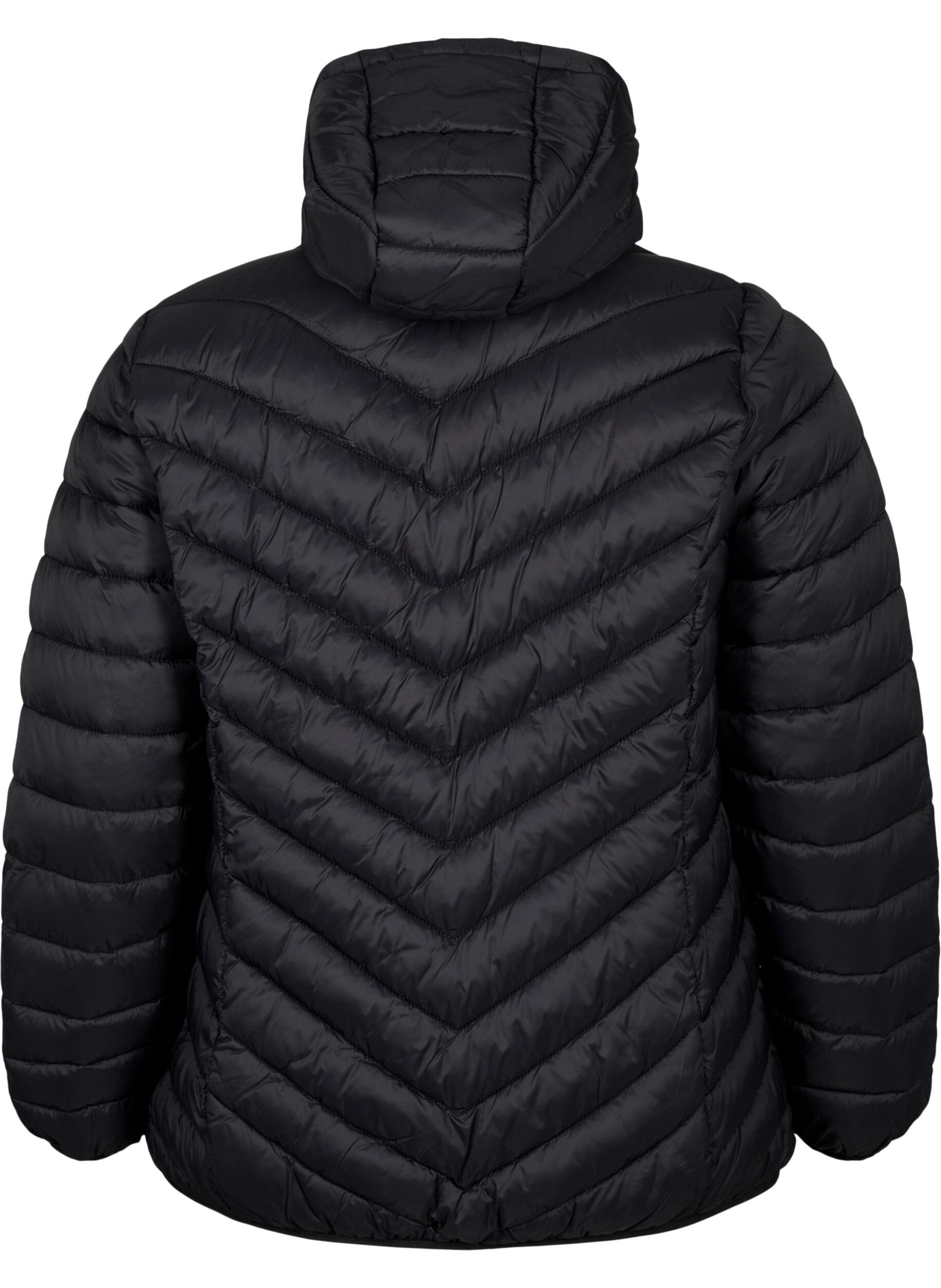 ZizziDoudoune l&eacute;g&egrave;re matelass&eacute;e &agrave; capuche, Noir, Packshot image number 1