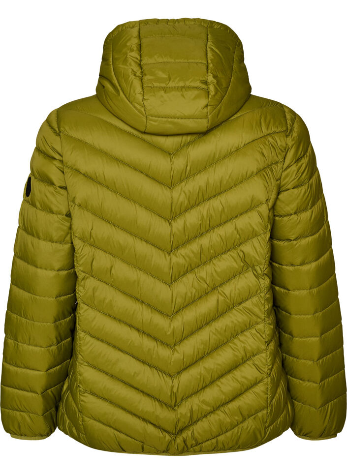 Veste l&eacute;g&egrave;re &agrave; capuche, Vert, Packshot image number 1