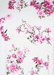 T-shirt avec imprimé floral, Rose, Packshot image number 2