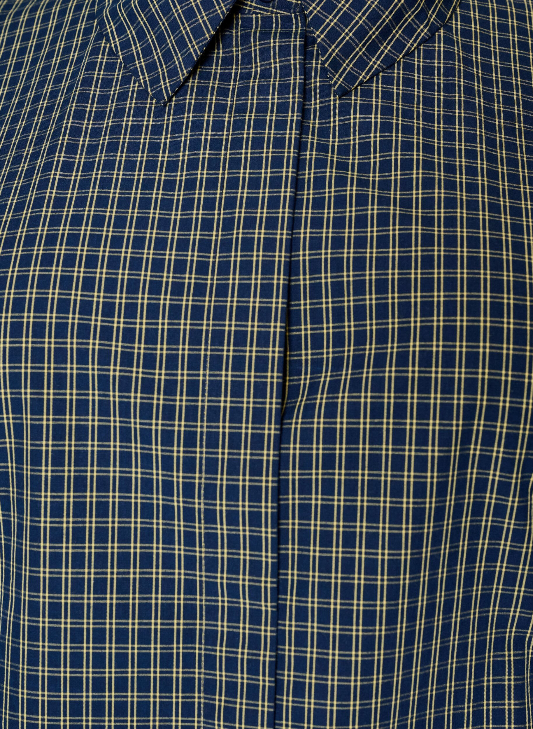 ZizziChemise en coton &agrave; carreaux avec boutonnage dissimul&eacute;, Bleu, Packshot image number 2