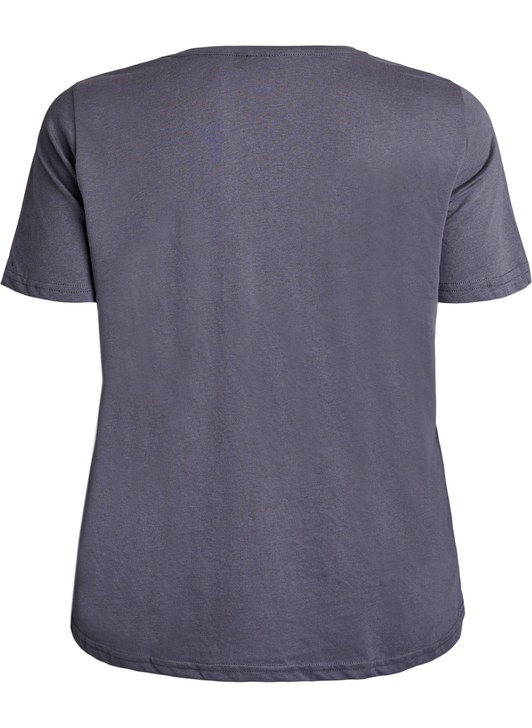 Zizzi FLASH &ndash; T-shirt avec motif, Gris, Packshot image number 1
