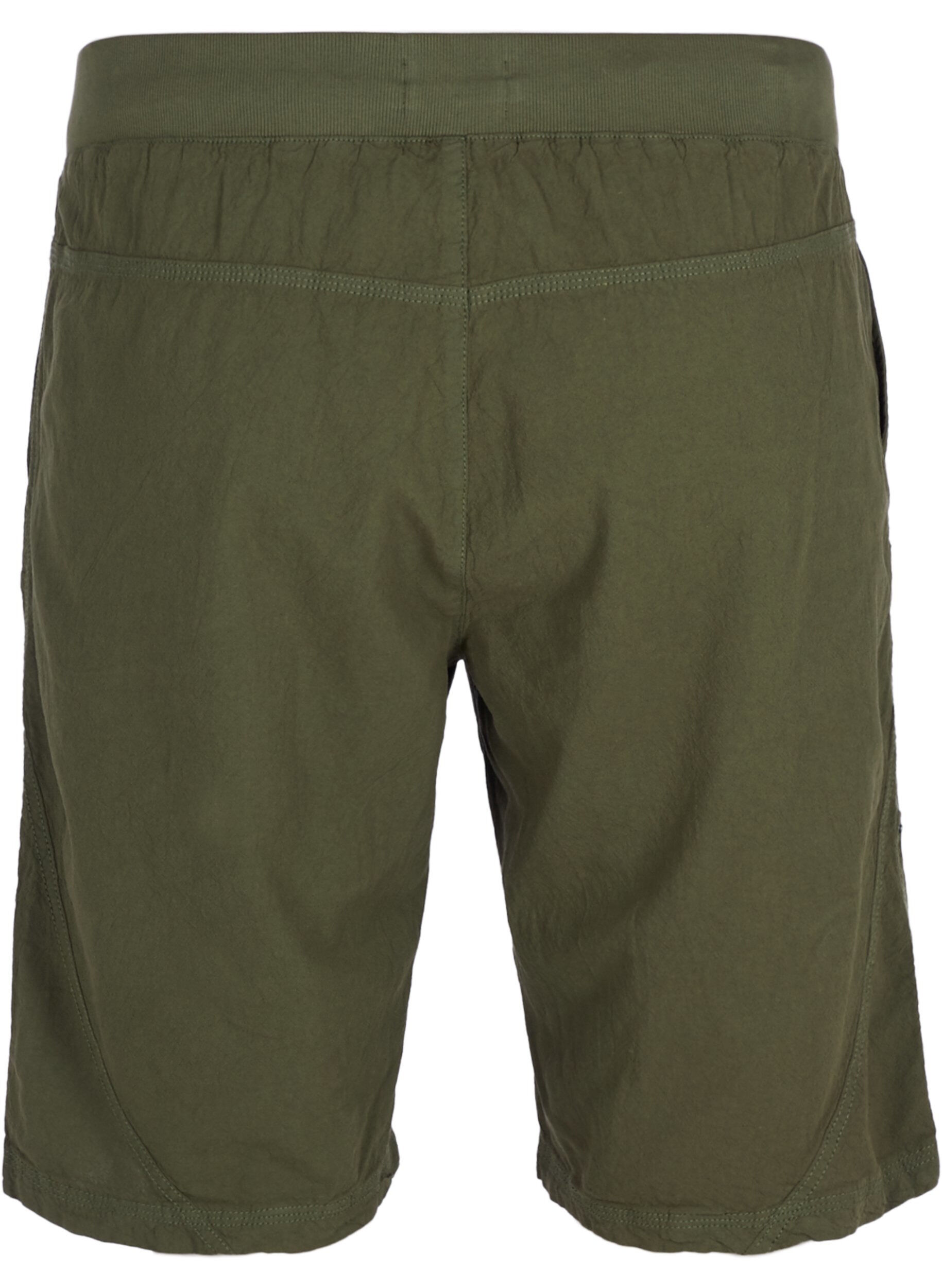 Zizzi Short , Ivy green, Packshot image number 1