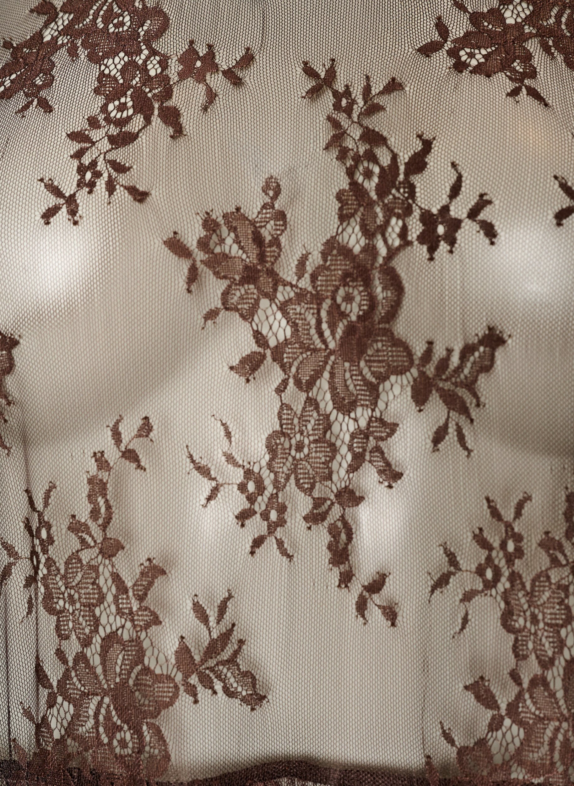 ZizziRobe mi-longue en dentelle transparente &agrave; manches courtes, Marron, Packshot image number 2