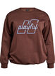 Sweat-shirt avec texte brod&eacute;, Marron, Packshot image number 0