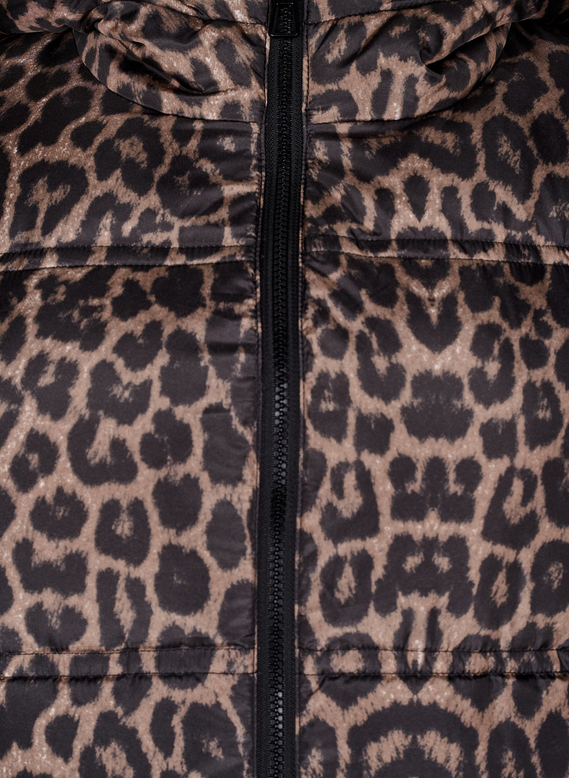 Zizzi Doudoune courte &agrave; capuche avec fermeture &eacute;clair double sens, Noir, Packshot image number 2