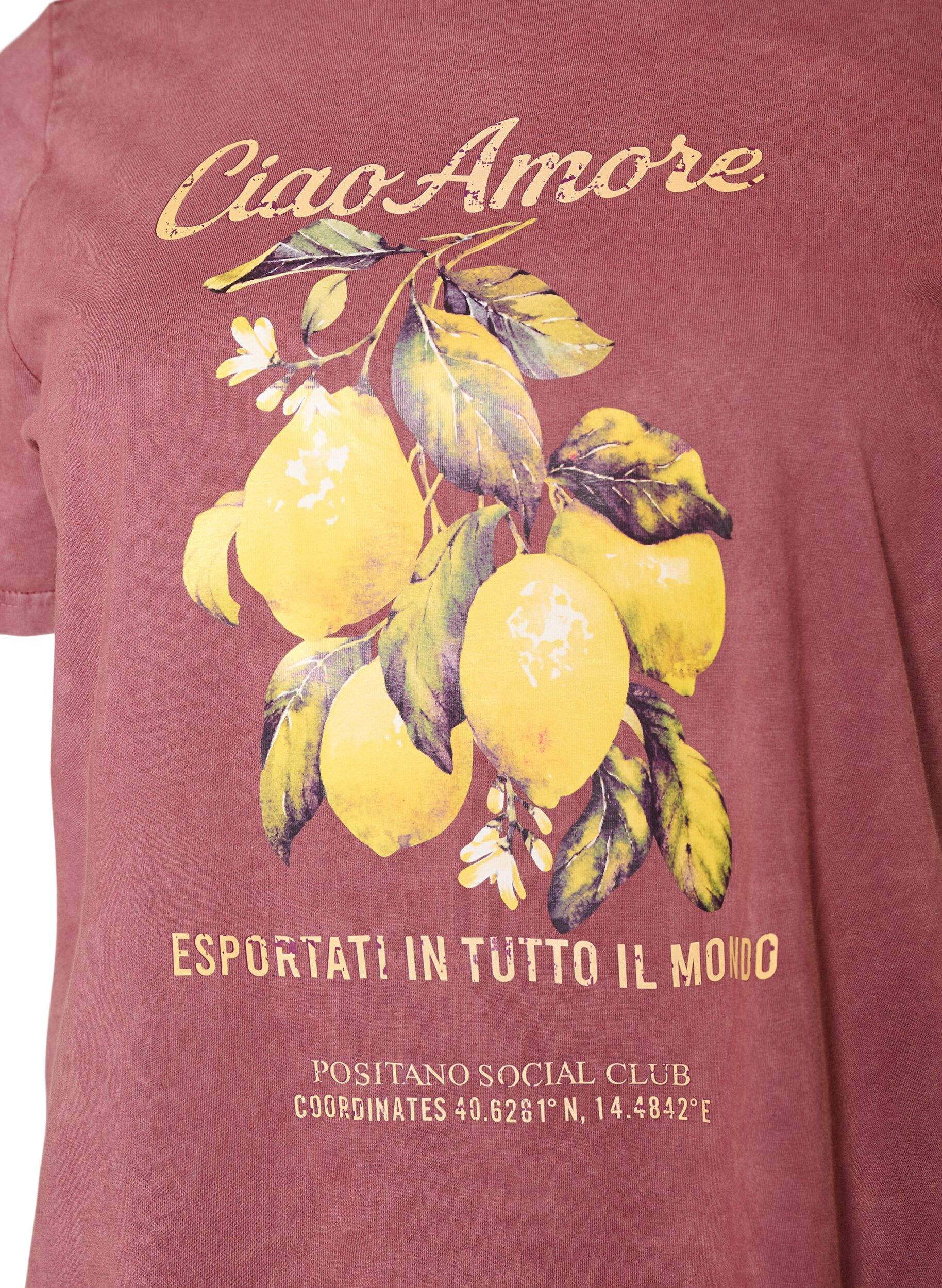 ZizziT-shirt en coton avec imprim&eacute; sur le devant et effet d&eacute;lav&eacute;, Bordeaux, Packshot image number 2