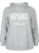Sweat à capuche, Light Grey Melange, Packshot image number 0