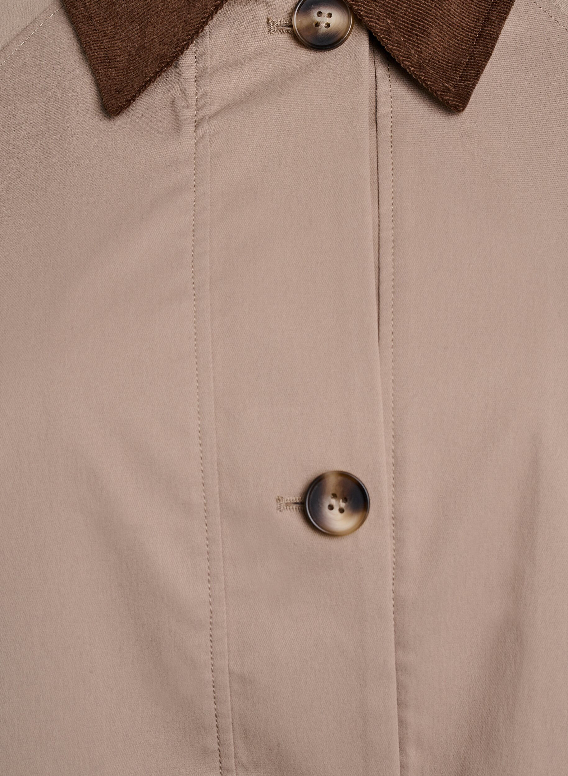 Zizzi Blouson de printemps &agrave; d&eacute;tails contrastants et en velours c&ocirc;tel&eacute;, Desert Taupe, Packshot image number 2