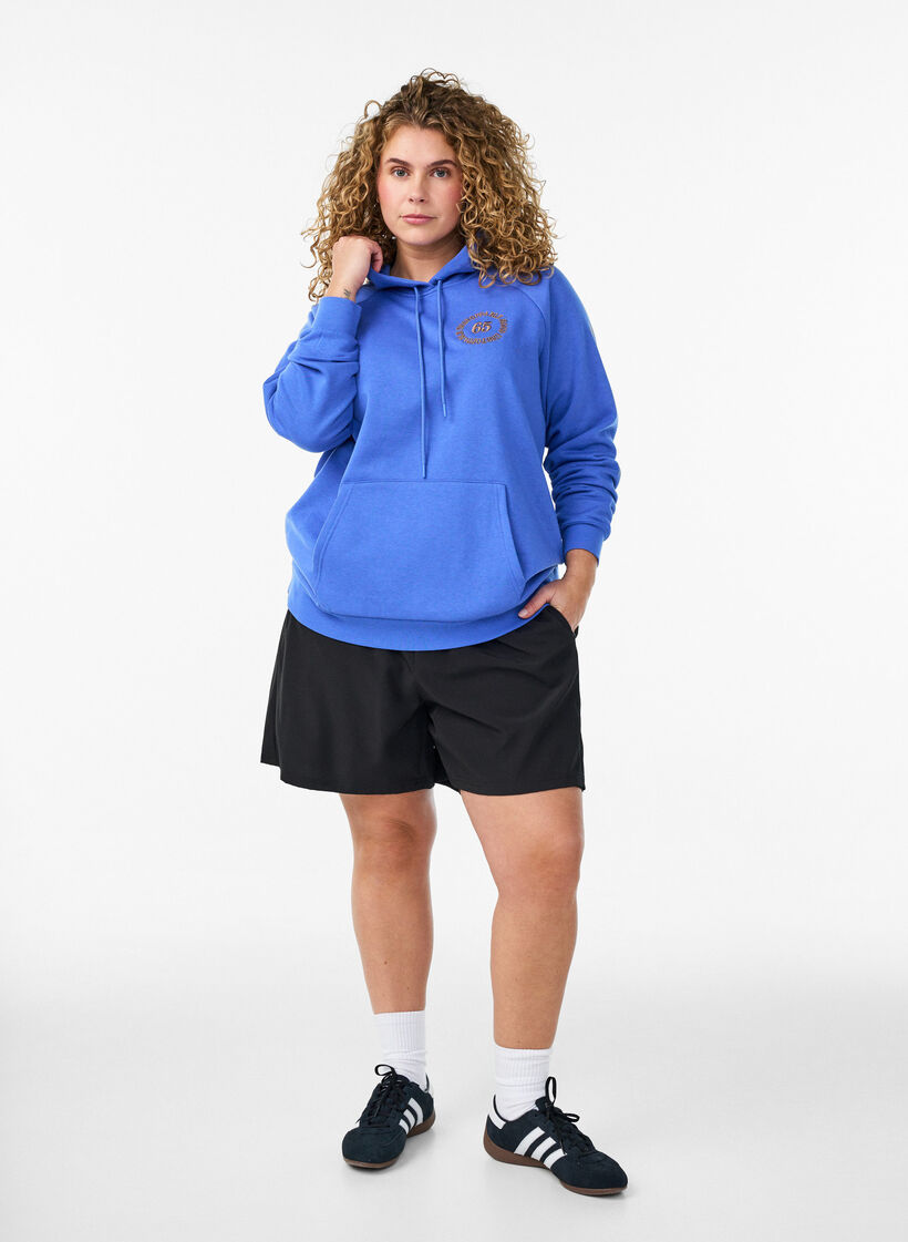 Sweat &agrave; capuche avec motif brod&eacute; devant, Bleu, Model image number 1