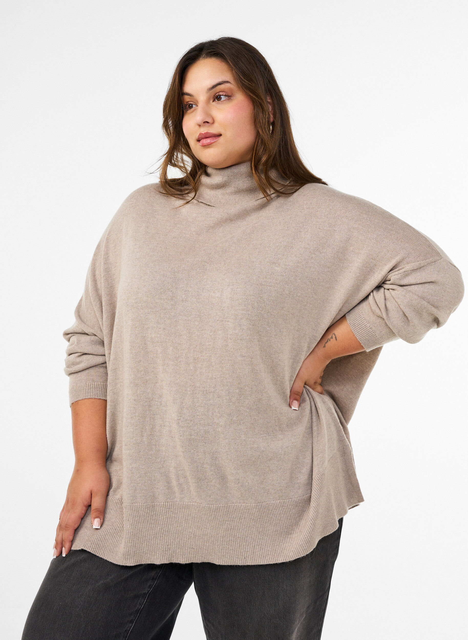 Pull &agrave; col roul&eacute; &agrave; coupe ample, Beige, Model